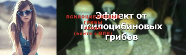 гашиш Ельня